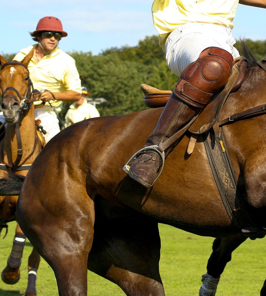Jugadores y caballos en la cancha