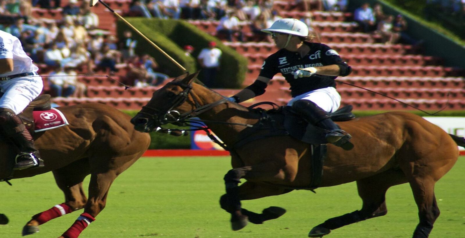 Jugador de polo galopando con el taco en alto